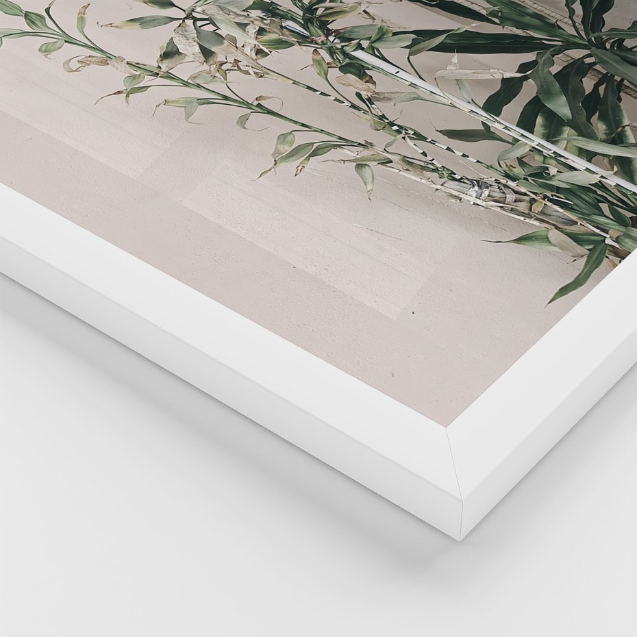 Zestaw obrazy w ramie, plakaty - rośliny, kwiaty, liście - rama biała