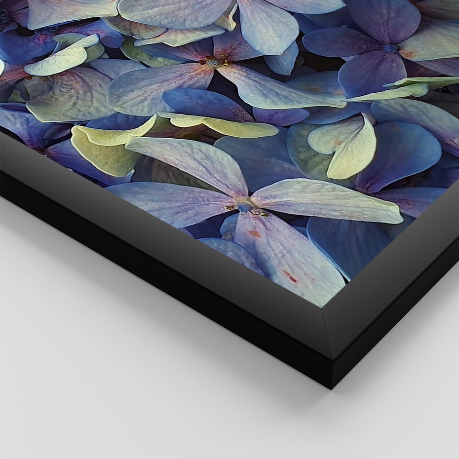 Zestaw obrazy w ramie, plakaty - kwiaty, hortensje, suszone kwiaty - rama czarna