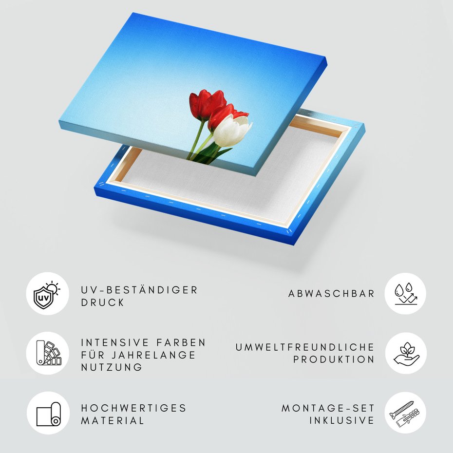 Obraz na płótnie - tulipany, kwiaty, niebo