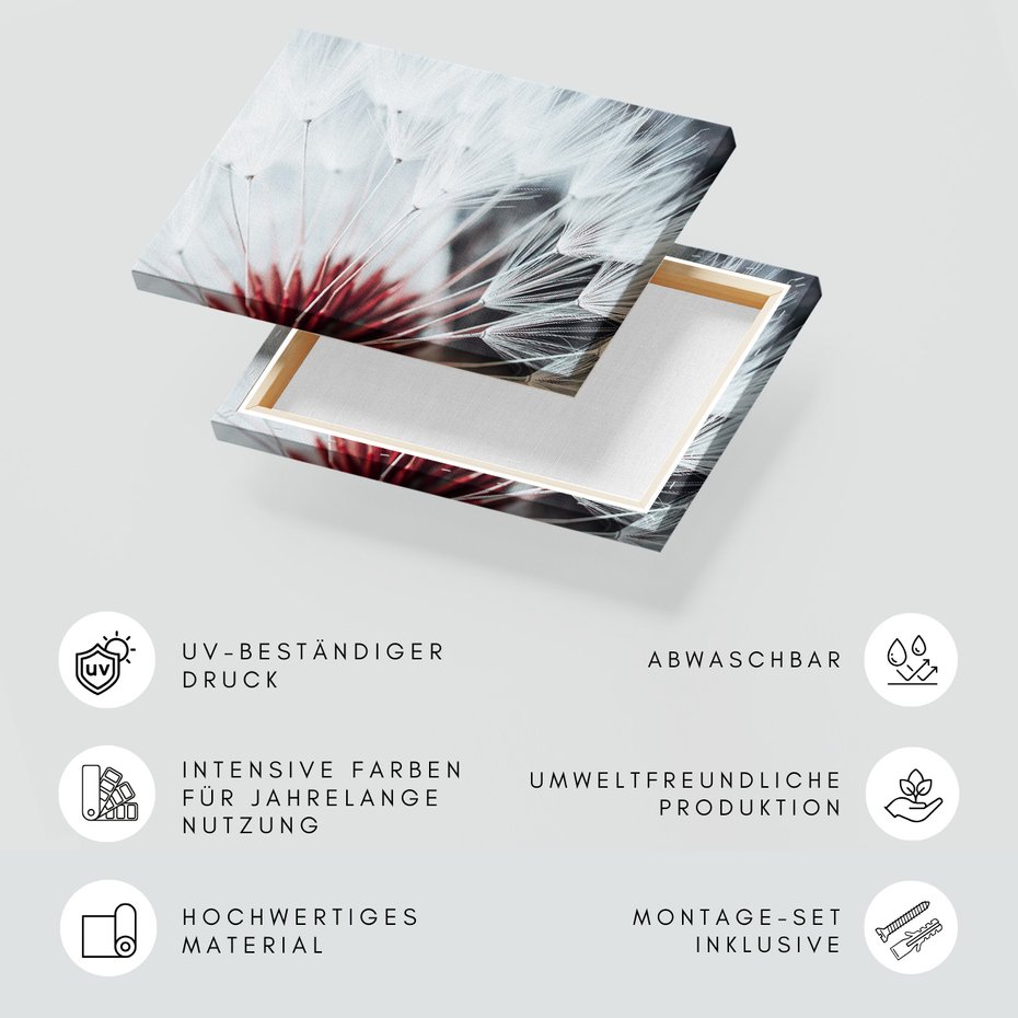 Obraz na płótnie - dmuchawiec, natura, nasiona