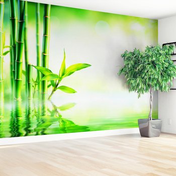 Fototapeta - bambus, woda, zieleń