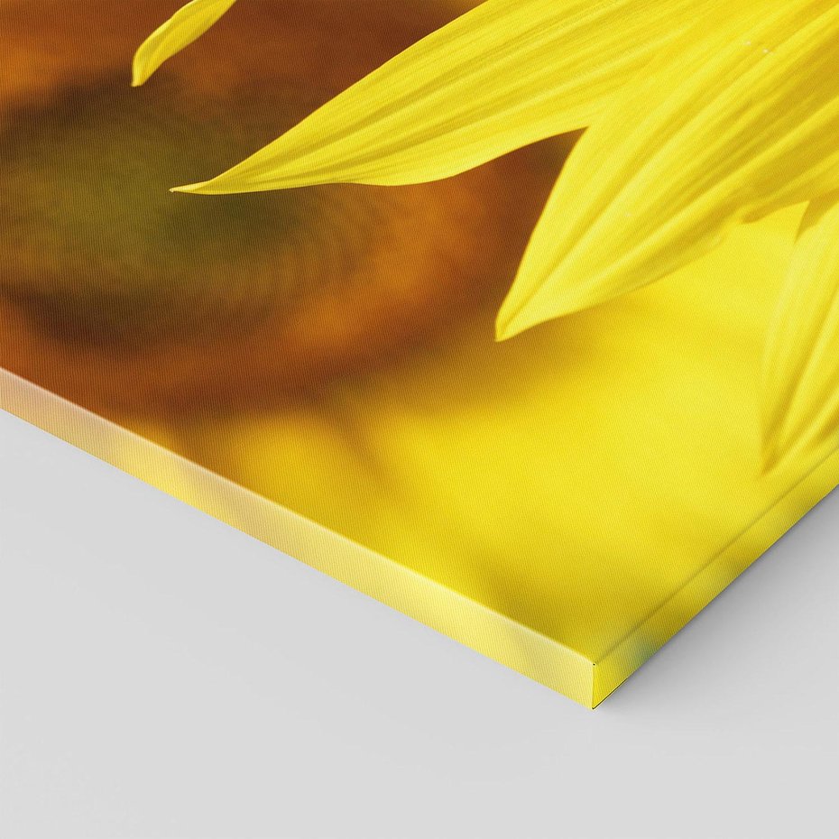 Obraz na płótnie - słonecznik, kwiat, żółty