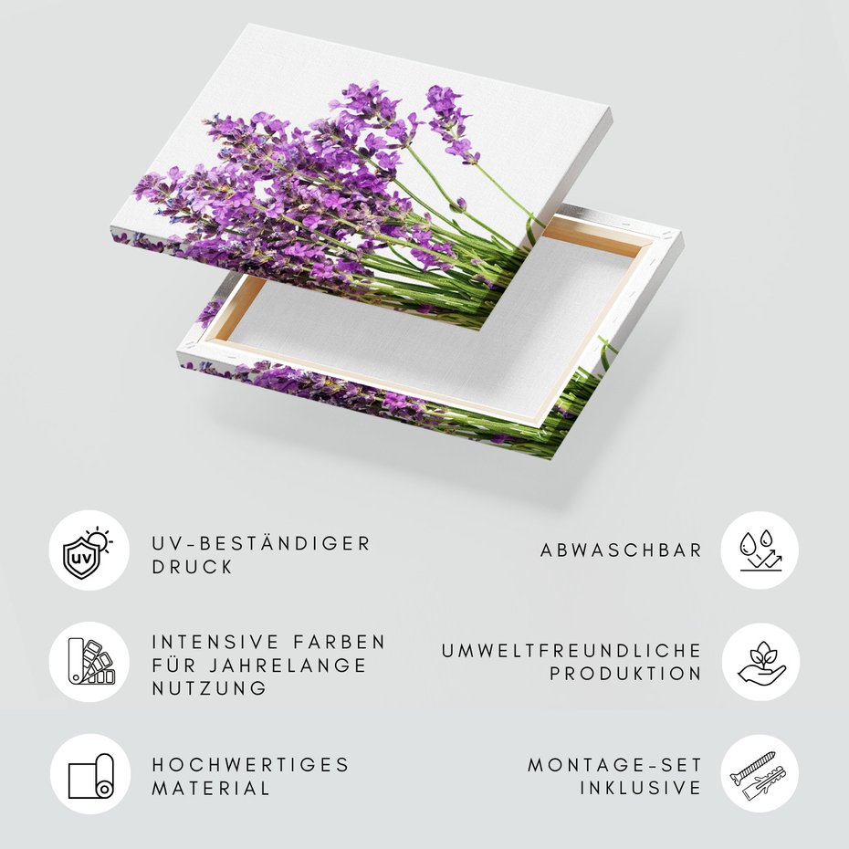 Obraz na płótnie - lawenda, kwiaty, fioletowy