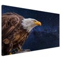 Obraz na płótnie - orzeł, ptak, gwiazdy