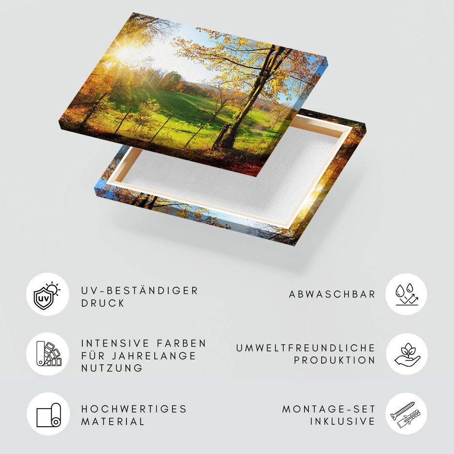 Obraz na płótnie - krajobraz, jesień, drzewa