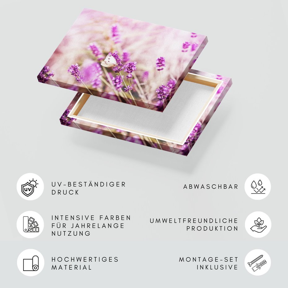 Obraz na płótnie - lawenda, motyl, kwiaty