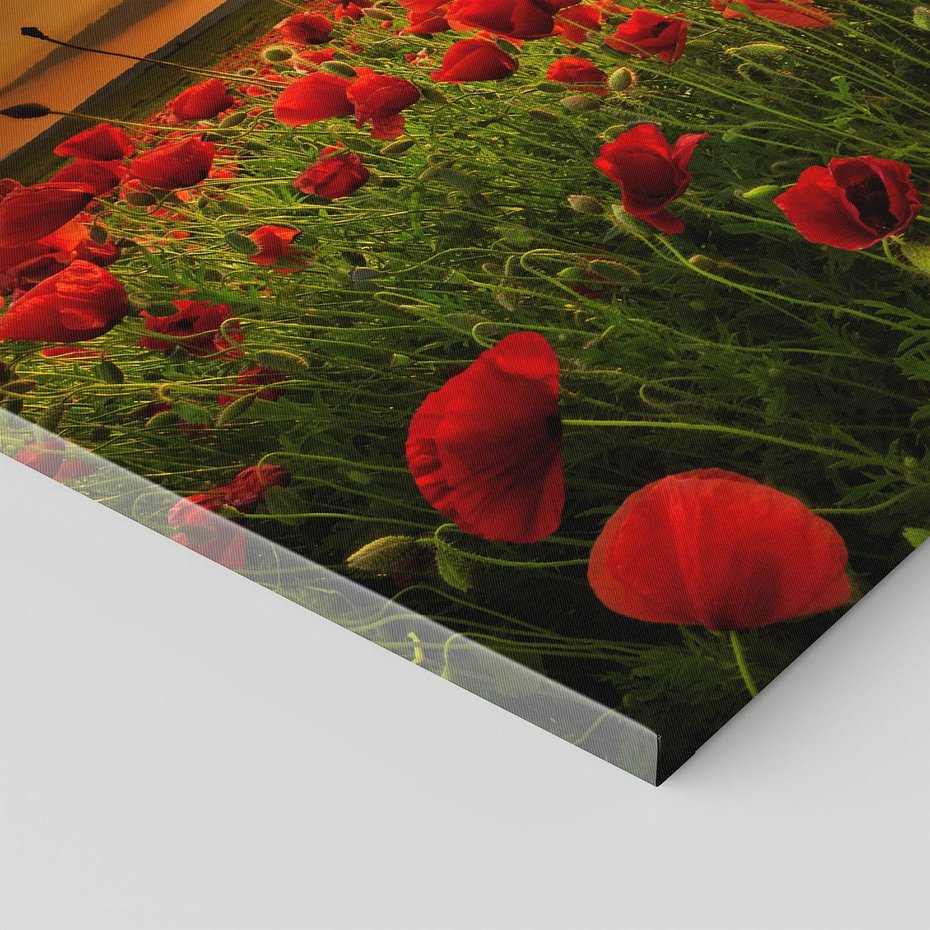 Obraz na płótnie - maki, pole, zachód słońca