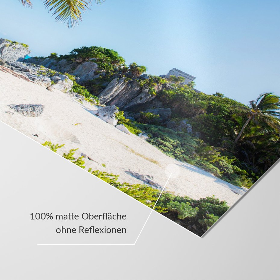 Fototapeta - plaża, morze, palmy