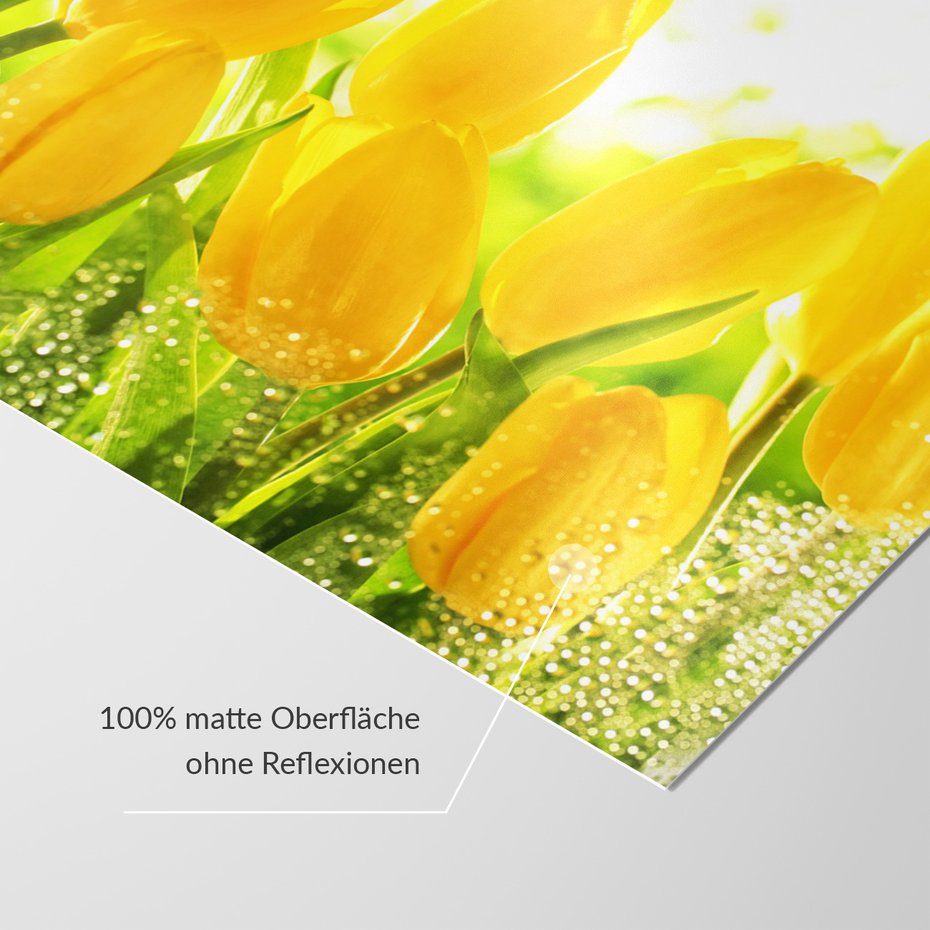 Fototapeta - tulipany, kwiaty, żółte