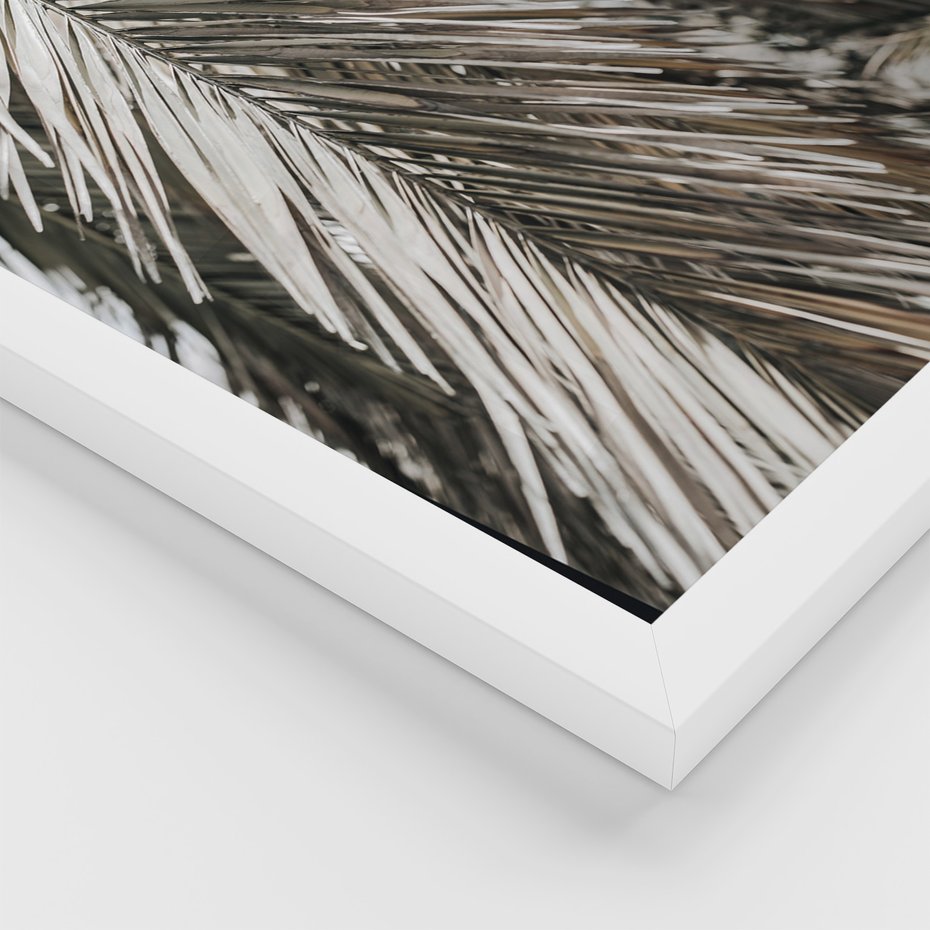 Zestaw obrazy w ramie, plakaty - liście, palmy, napisy - rama biała