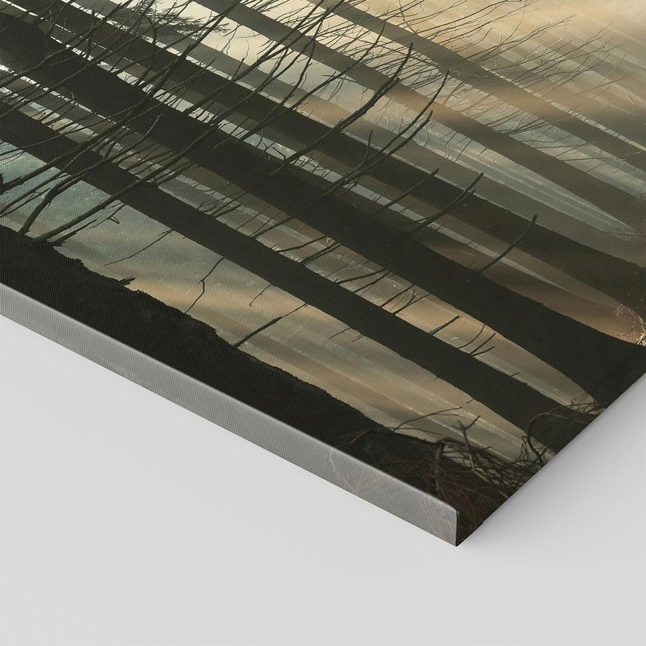 Obraz na płótnie - las, drzewa, mgła