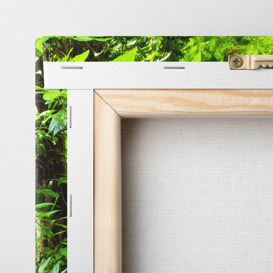 Obraz na płótnie - schody, las, natura