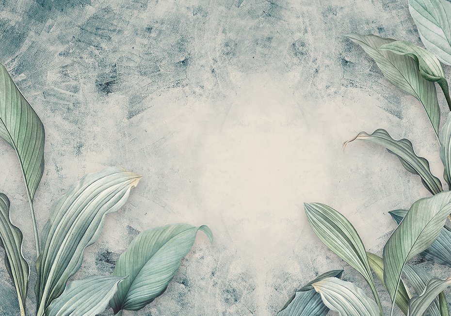 Fototapeta - tropikalne, liście, beton
