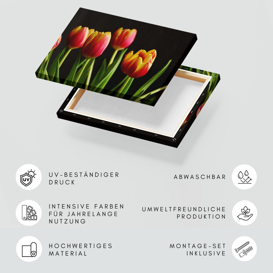 Obraz na płótnie - tulipany, kwiaty, czerwony