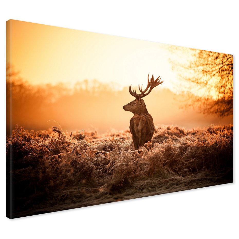 Obraz na płótnie - jeleń, natura, krajobraz