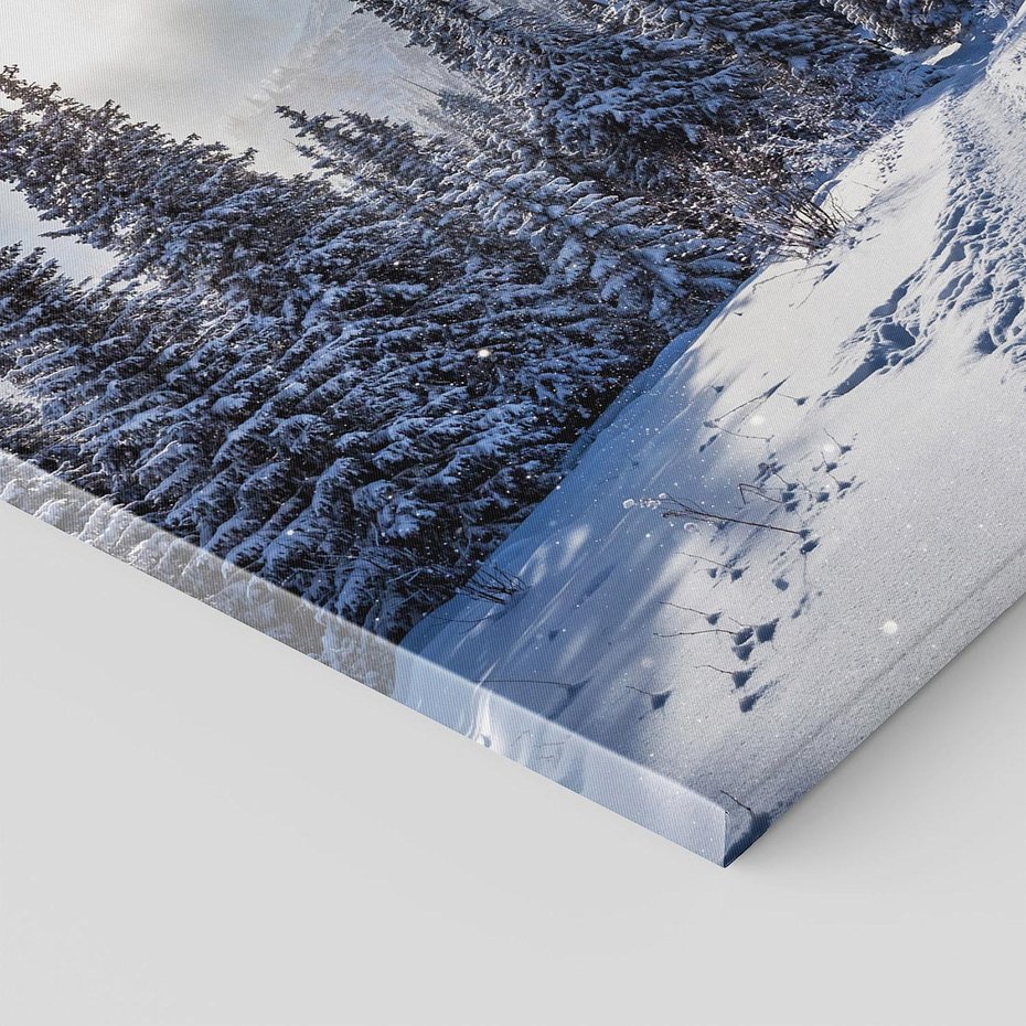 Obraz na płótnie - zima, śnieg, las