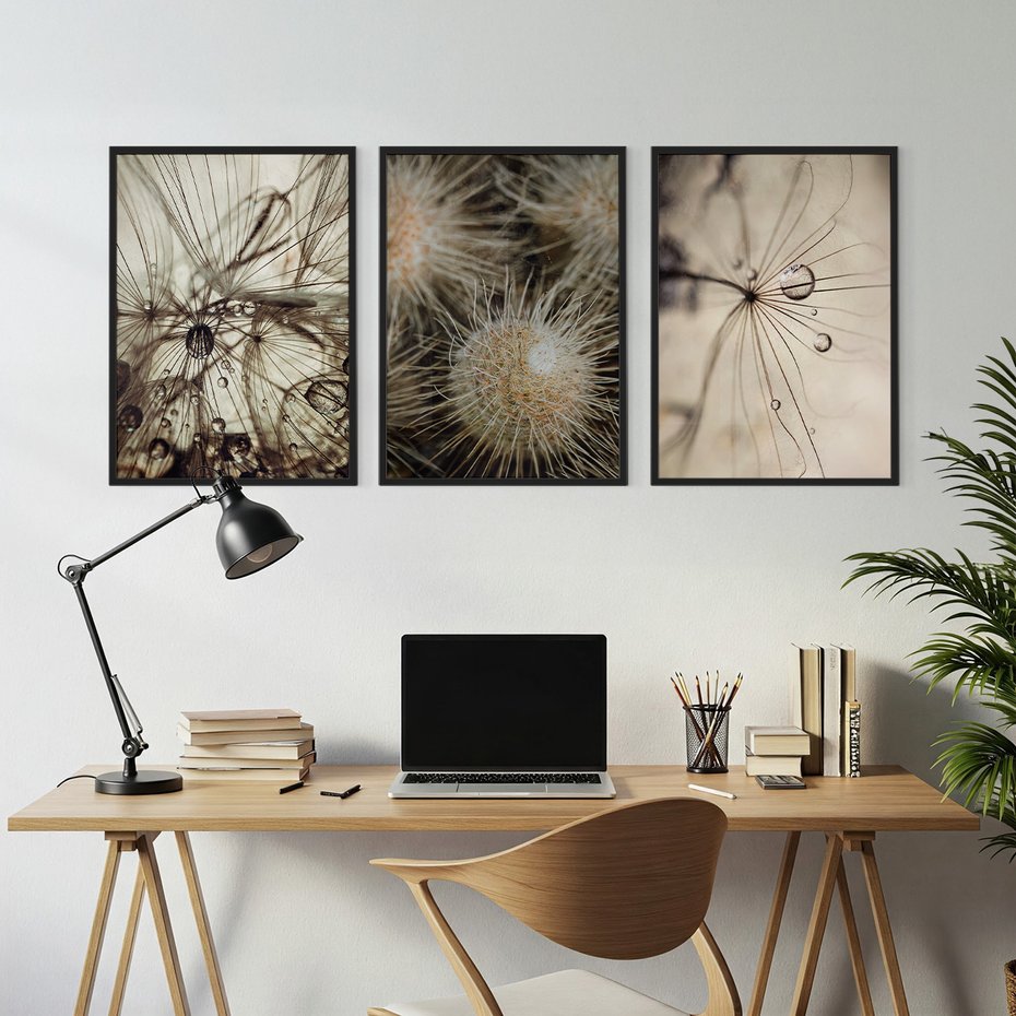 Zestaw obrazy w ramie, plakaty - makro, natura, roślina - rama czarna