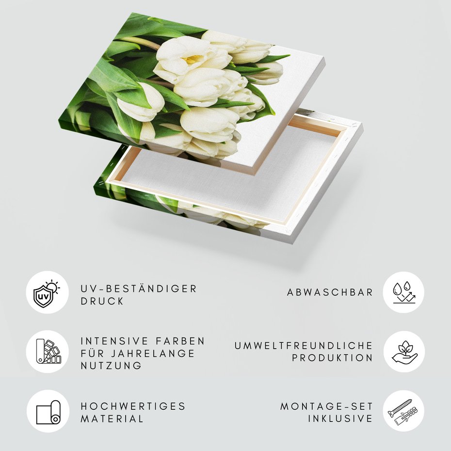 Obraz na płótnie - tulipany, kwiaty, białe