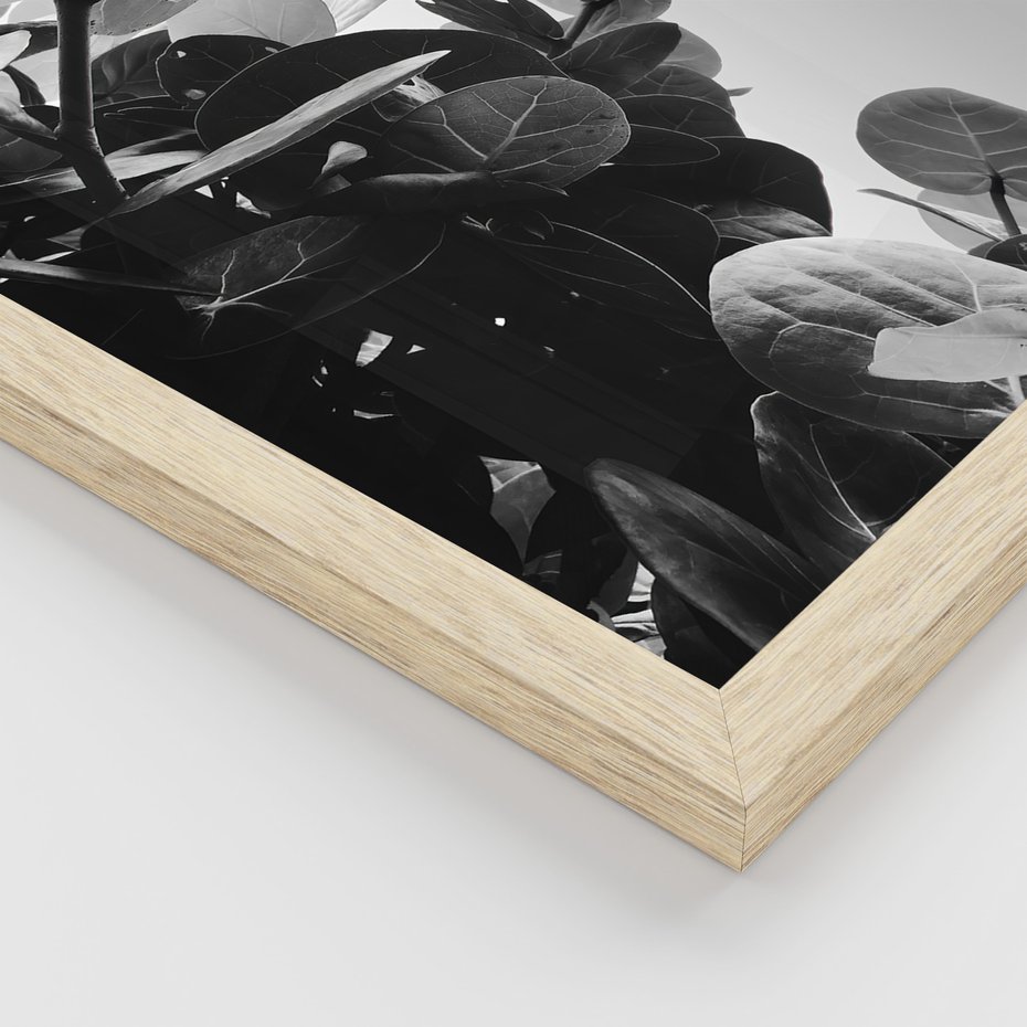 Zestaw obrazy w ramie, plakaty - liście, rośliny, natura - rama drewno