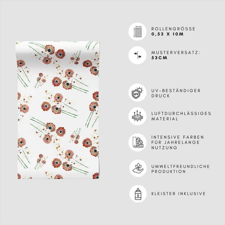 Tapeta - kwiaty, dmuchawce, natura