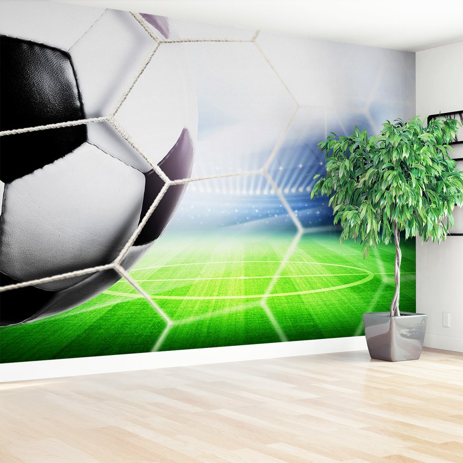 Fototapeta - piłka nożna, sport, gol