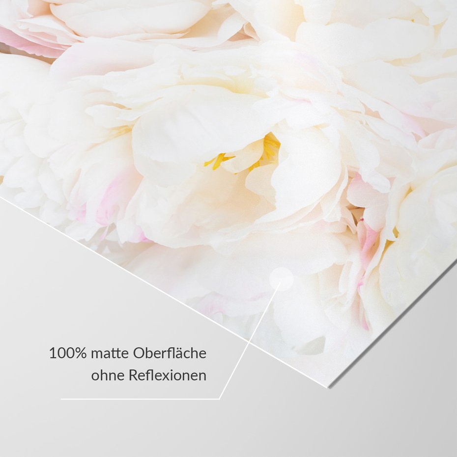 Fototapeta - kwiaty, białe, płatki