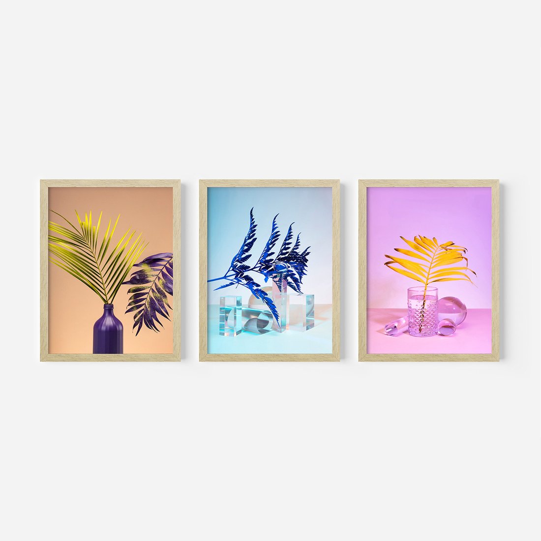 Zestaw obrazy w ramie, plakaty - liście, rośliny, minimalizm - rama drewno