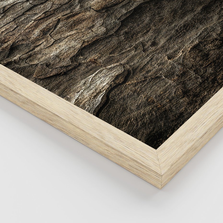 Zestaw obrazy w ramie, plakaty - dom, natura, drewno - rama drewno