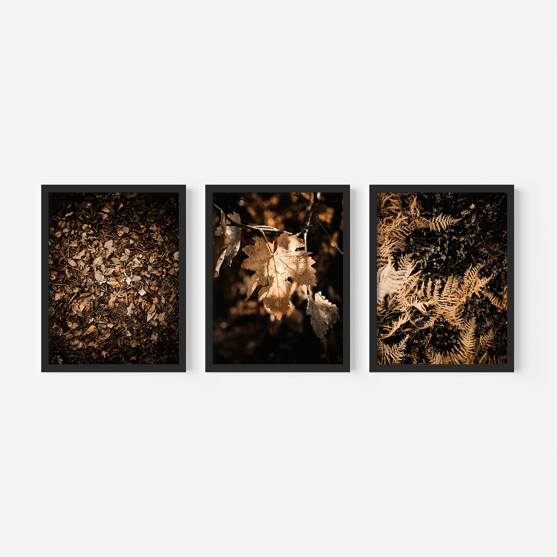 Zestaw obrazy w ramie, plakaty - liście, jesień, brązowy - rama czarna