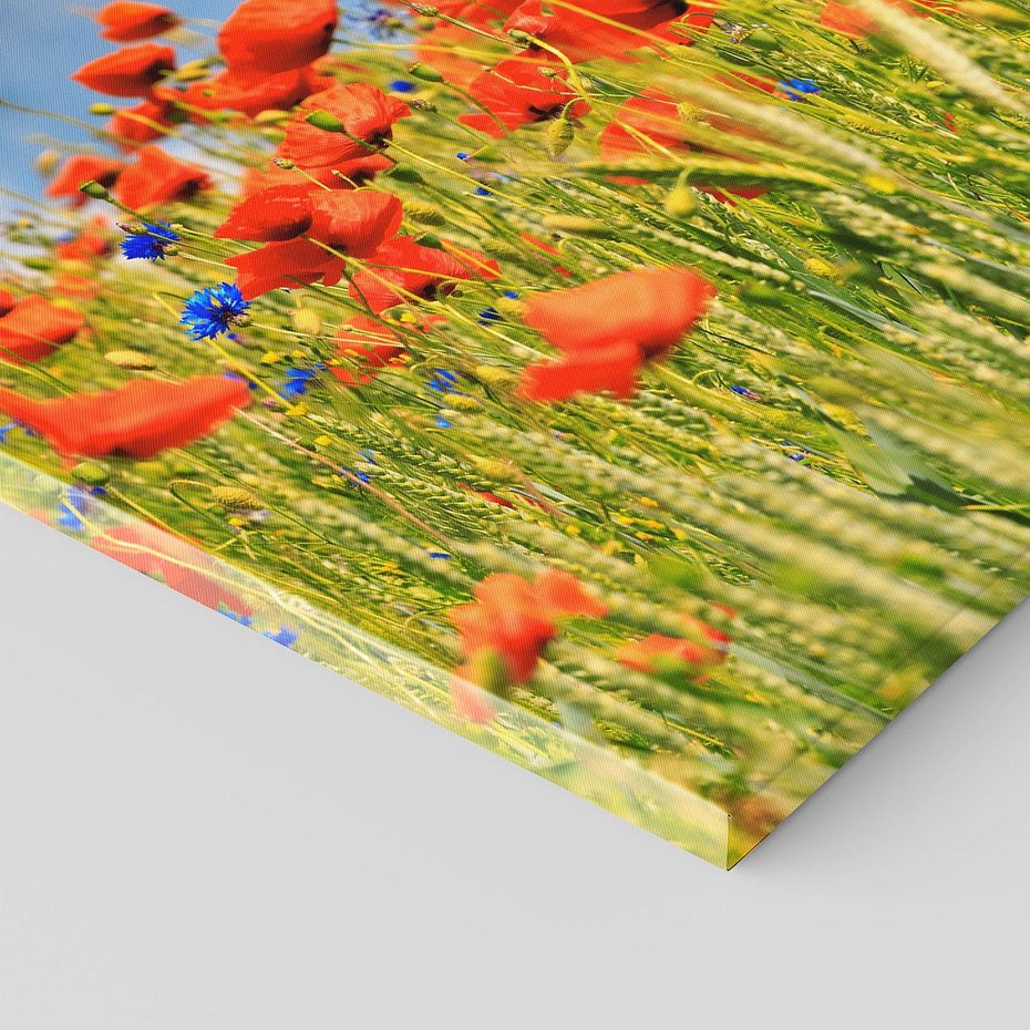 Obraz na płótnie - maki, kwiaty, lato