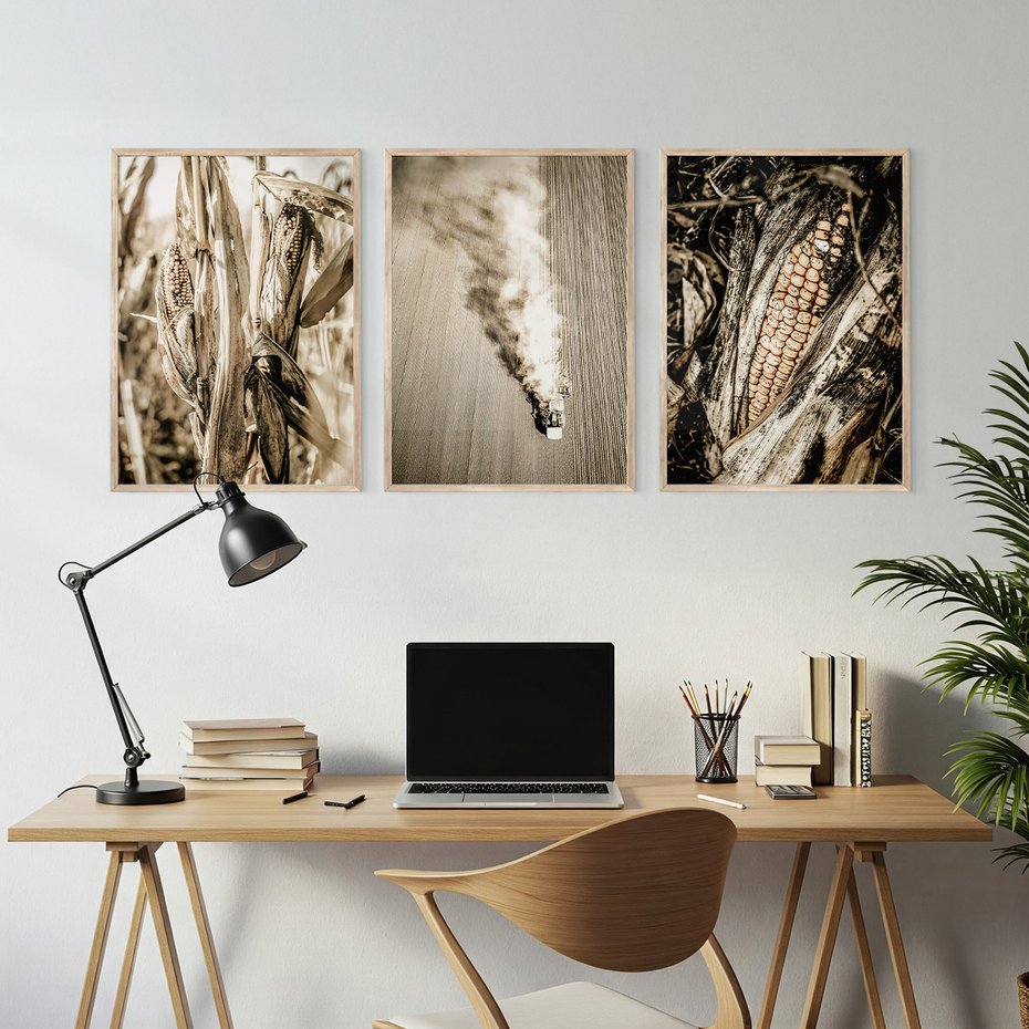 Zestaw obrazy w ramie, plakaty - kukurydza, pole, rolnictwo - rama drewno