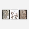 Zestaw obrazy w ramie, plakaty - abstrakcja, roślina, natura - rama czarna