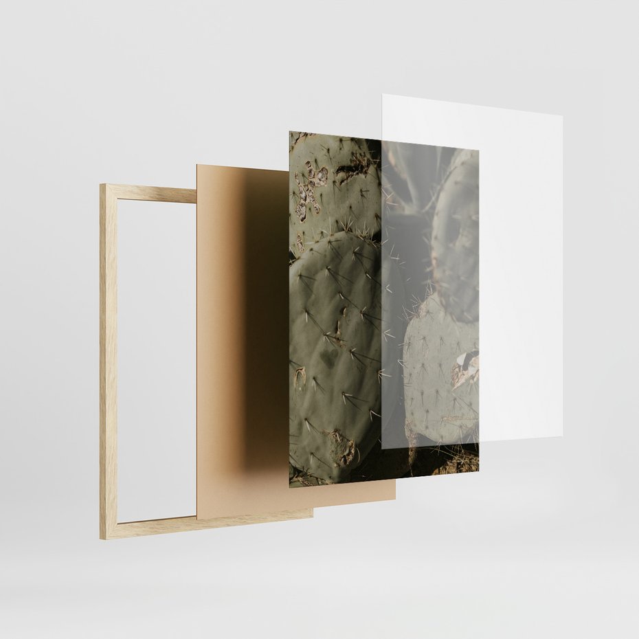 Zestaw obrazy w ramie, plakaty - kaktusy, rośliny, zielony - rama drewno