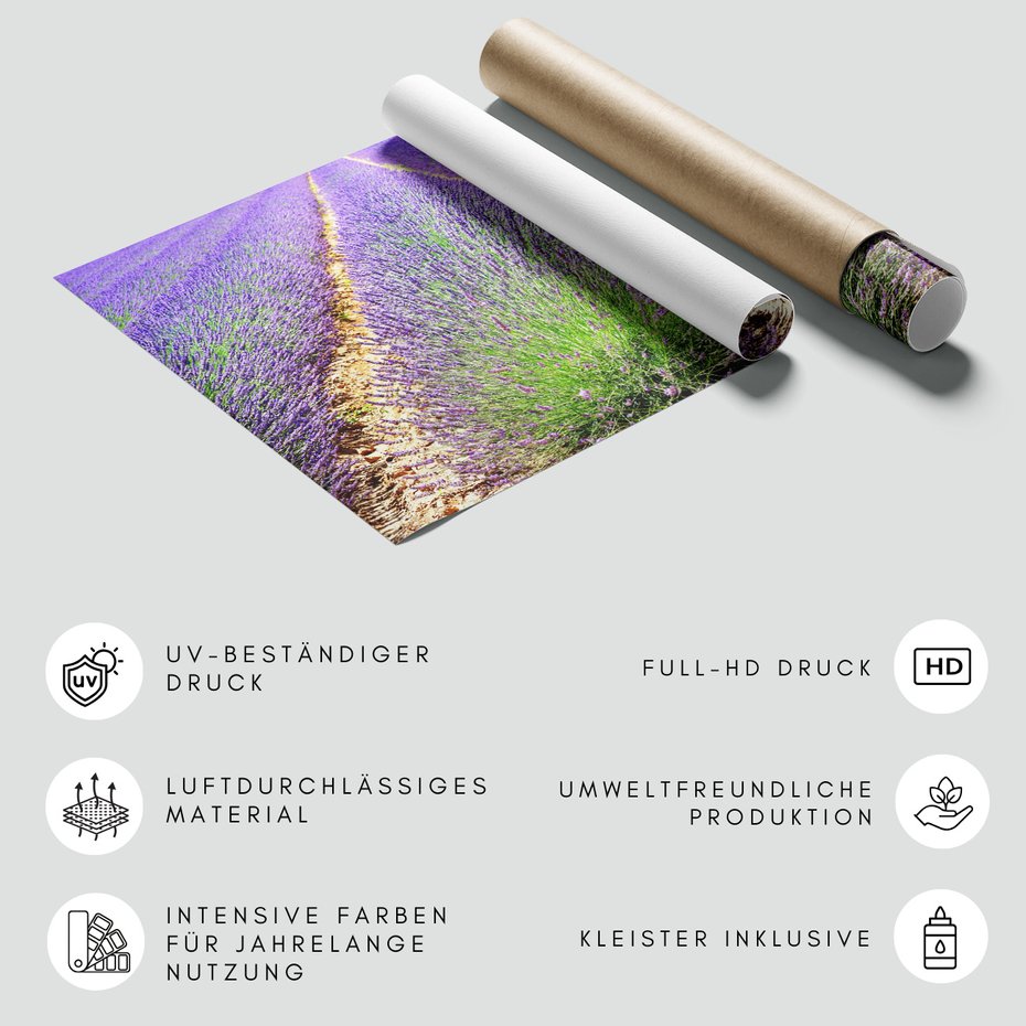 Fototapeta - lawenda, pole, fioletowy