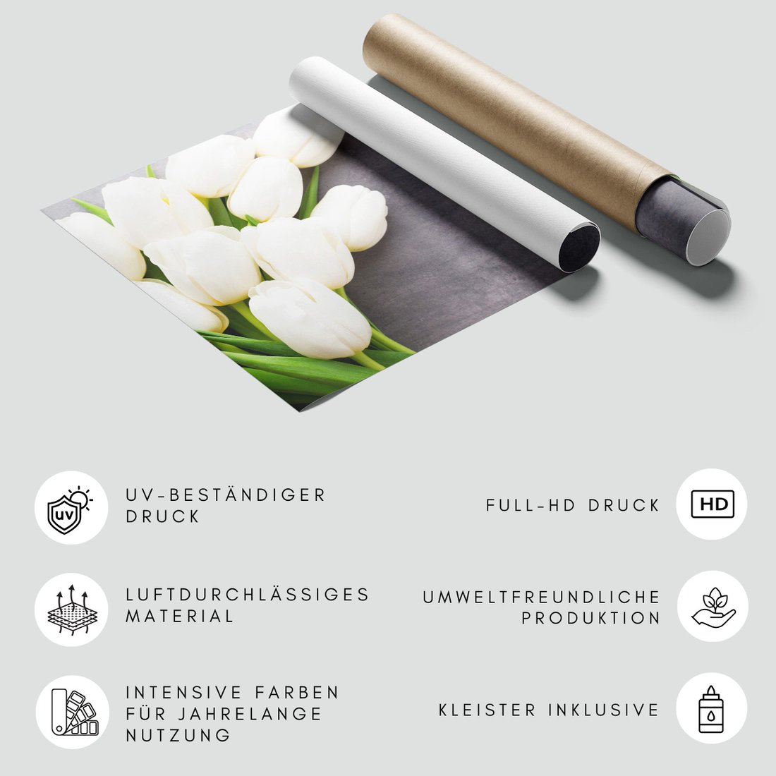 Fototapeta - tulipany, kwiaty, biel,