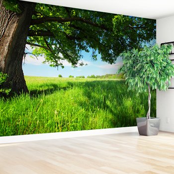 Fototapeta - drzewo, łąka, zielony