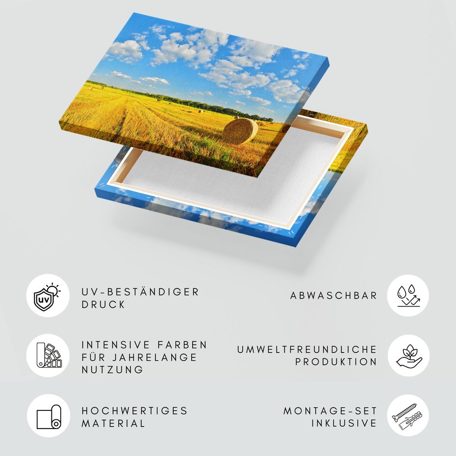 Obraz na płótnie - pola, niebo, krajobraz