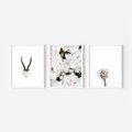 Zestaw obrazy w ramie, plakaty - kwiaty, minimalizm, roślina - rama biała