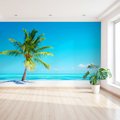 Fototapeta - palma, plaża, morze