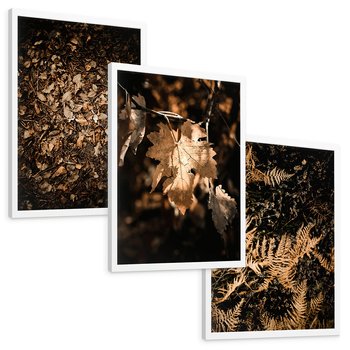 Zestaw obrazy w ramie, plakaty - liście, jesień, brązowy - rama biała