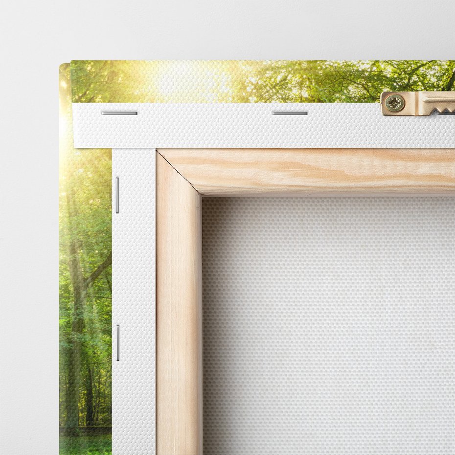 Obraz na płótnie - las, drzewa, natura