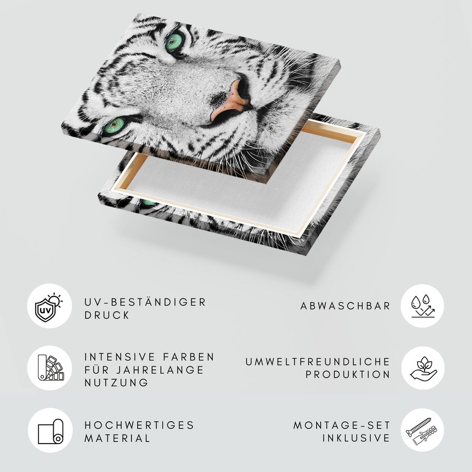 Obraz na płótnie - tygrys, biały, zwierzę