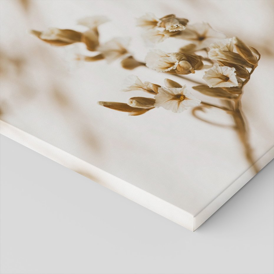 Obraz na płótnie - kwiaty, beżowy, delikatny