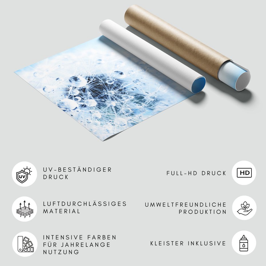 Fototapeta - dmuchawiec, krople, abstrakcja