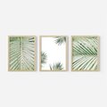 Zestaw obrazy w ramie, plakaty - liście, palmy, tropikalne - rama drewno