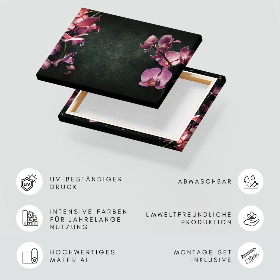 Obraz na płótnie - kwiaty, orchidee, dekoracja