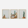 Zestaw obrazy w ramie, plakaty - kaktusy, sukulenty, rośliny - rama drewno