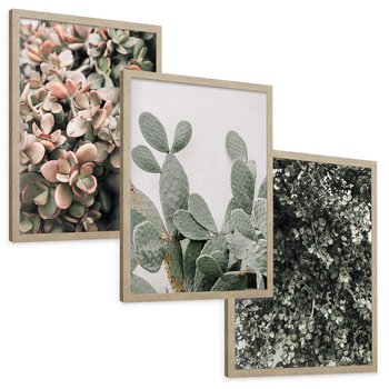 Zestaw obrazy w ramie, plakaty - rośliny, kaktus, liście - rama drewno