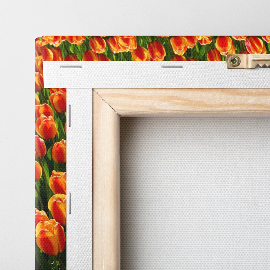 Obraz na płótnie - tulipany, kwiaty, wiosna