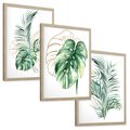 Zestaw obrazy w ramie, plakaty - liście, monstera, rośliny - rama drewno